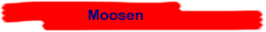 Moosen